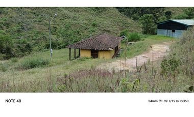 vendo finca productiva san vicente Ferrer Antioquia 93,4 hectareas