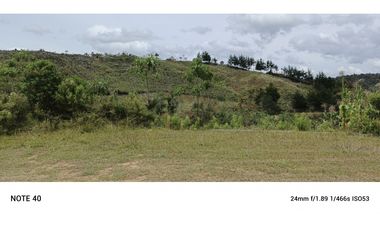 vendo finca productiva san vicente Ferrer Antioquia 93,4 hectareas