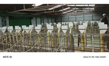 vendo finca productiva san vicente Ferrer Antioquia 93,4 hectareas