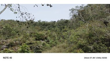 vendo finca productiva san vicente Ferrer Antioquia 93,4 hectareas