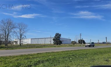 Nave Industrial en La Plata
