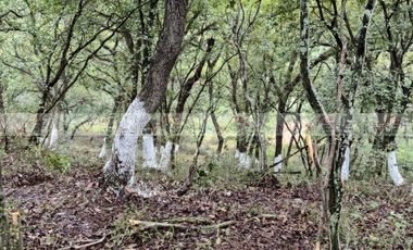 Campestre El Barro