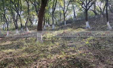 Campestre El Barro