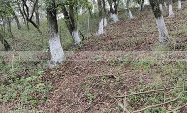 Campestre El Barro