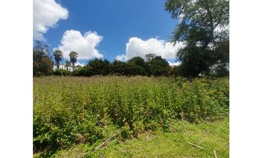 VENTA / TERRENO / SIERRA DE LOS PADRES