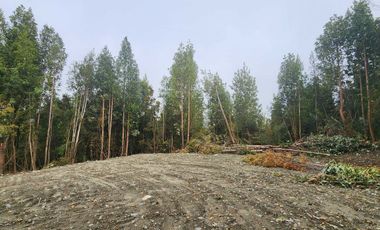 Parcela en venta en PUERTO MONTT