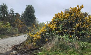 Parcela en venta en PUERTO MONTT