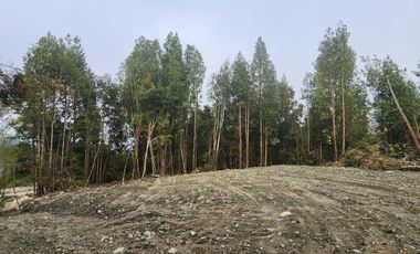 Parcela en venta en PUERTO MONTT