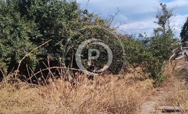 Parcela en venta en PUENTE ALTO