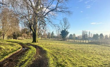 Parcela en venta en OSORNO