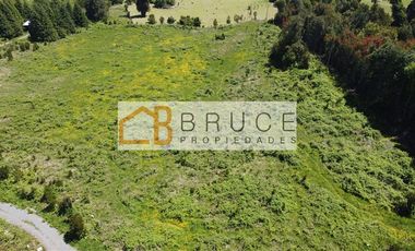 Parcela en Venta en Loteo Los Arrayanes Rupanco