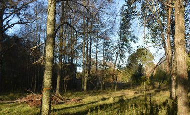 Sitio en Venta en Camino segunda faja km 3.4