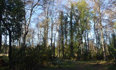 Sitio en Venta en Camino segunda faja km 3.4