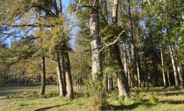 Sitio en Venta en Camino segunda faja km 3.4