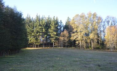 Sitio en Venta en Camino segunda faja km 3.4