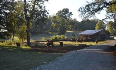 Sitio en Venta en Camino segunda faja km 3.4
