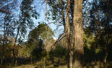 Sitio en Venta en Camino segunda faja km 3.4