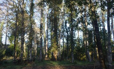 Sitio en Venta en Camino segunda faja km 3.4