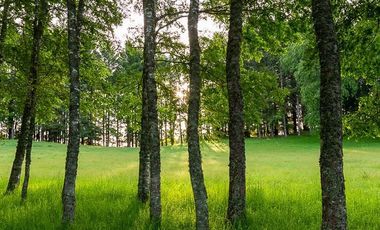 Sitio en Venta en Camino segunda faja km 3.4