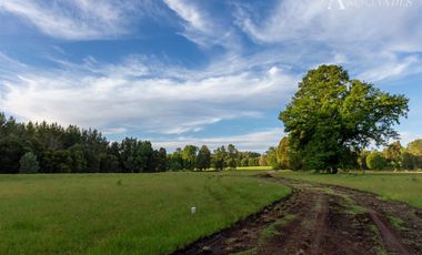 Sitio en Venta en Camino segunda faja km 3.4