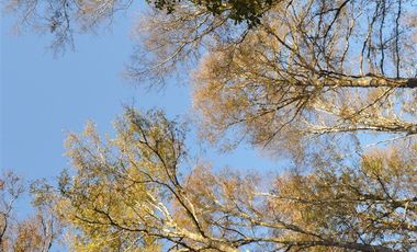 Sitio en Venta en Camino segunda faja km 3.4