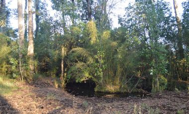 Sitio en Venta en Camino segunda faja km 3.4