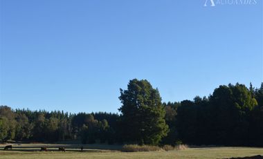 Sitio en Venta en Camino segunda faja km 3.4