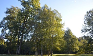 Sitio en Venta en Camino segunda faja km 3.4