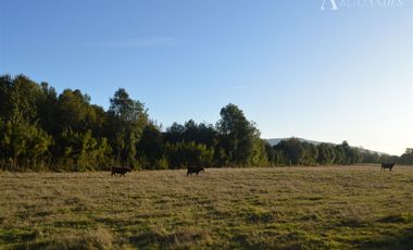 Sitio en Venta en Camino segunda faja km 3.4