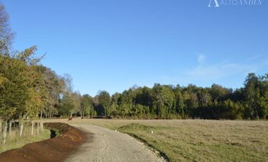 Sitio en Venta en Camino segunda faja km 3.4