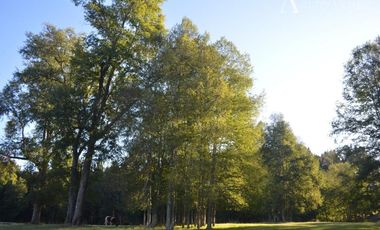 Sitio en Venta en Camino segunda faja km 3.4