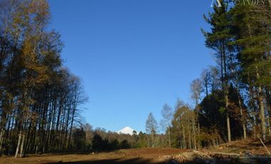 Sitio en Venta en Camino segunda faja km 3.4