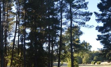 Sitio en Venta en Camino segunda faja km 3.4