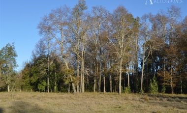 Sitio en Venta en Camino segunda faja km 3.4