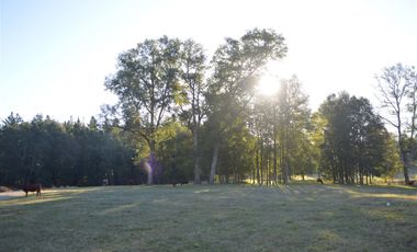 Sitio en Venta en Camino segunda faja km 3.4