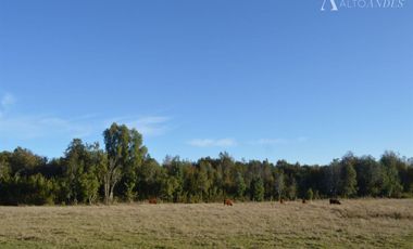 Sitio en Venta en Camino segunda faja km 3.4