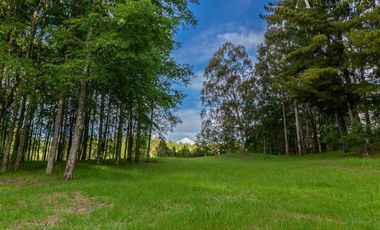 Sitio en Venta en Camino segunda faja km 3.4