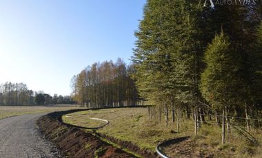 Sitio en Venta en Camino segunda faja km 3.4