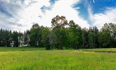 Sitio en Venta en Camino segunda faja km 3.4