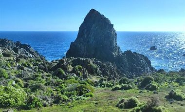 Sitio en Venta en Sector Costa Dorada