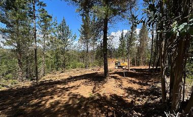 VENDO SITIOS EN SECTOR TRICAUCO, AL LLEGAR A SANTA JUANA