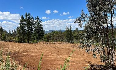 VENDO SITIOS EN SECTOR TRICAUCO, AL LLEGAR A SANTA JUANA