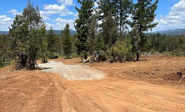 VENDO SITIOS EN SECTOR TRICAUCO, AL LLEGAR A SANTA JUANA