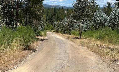 VENDO SITIOS EN SECTOR TRICAUCO, AL LLEGAR A SANTA JUANA