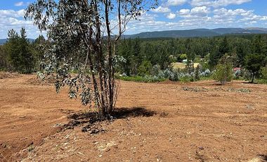 VENDO SITIOS EN SECTOR TRICAUCO, AL LLEGAR A SANTA JUANA