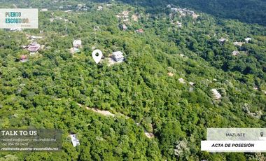 Terreno Elevado con Vista al Mar en Mazunte