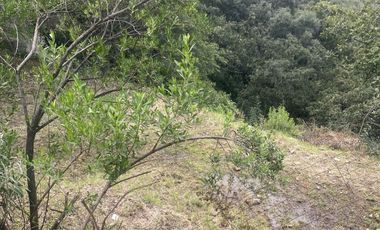 VENTA DE TERRENO: CONDADO DE SAYAVEDRA