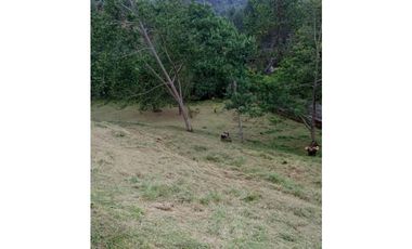 Lote en Venta en Envigado Loma Escobero