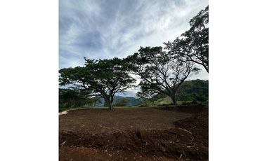 VENTA - LOTE LISTO PARA CONSTRUIR PEÑALISA SUROESTE