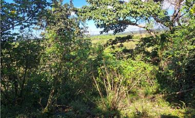 VENDO CUATRO HECTAREAS CON AGUA VIVA EN BOQUERON